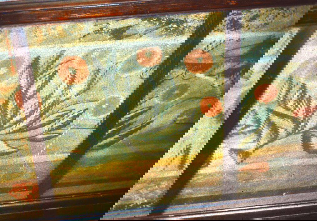 Wall painting St Nicholas House